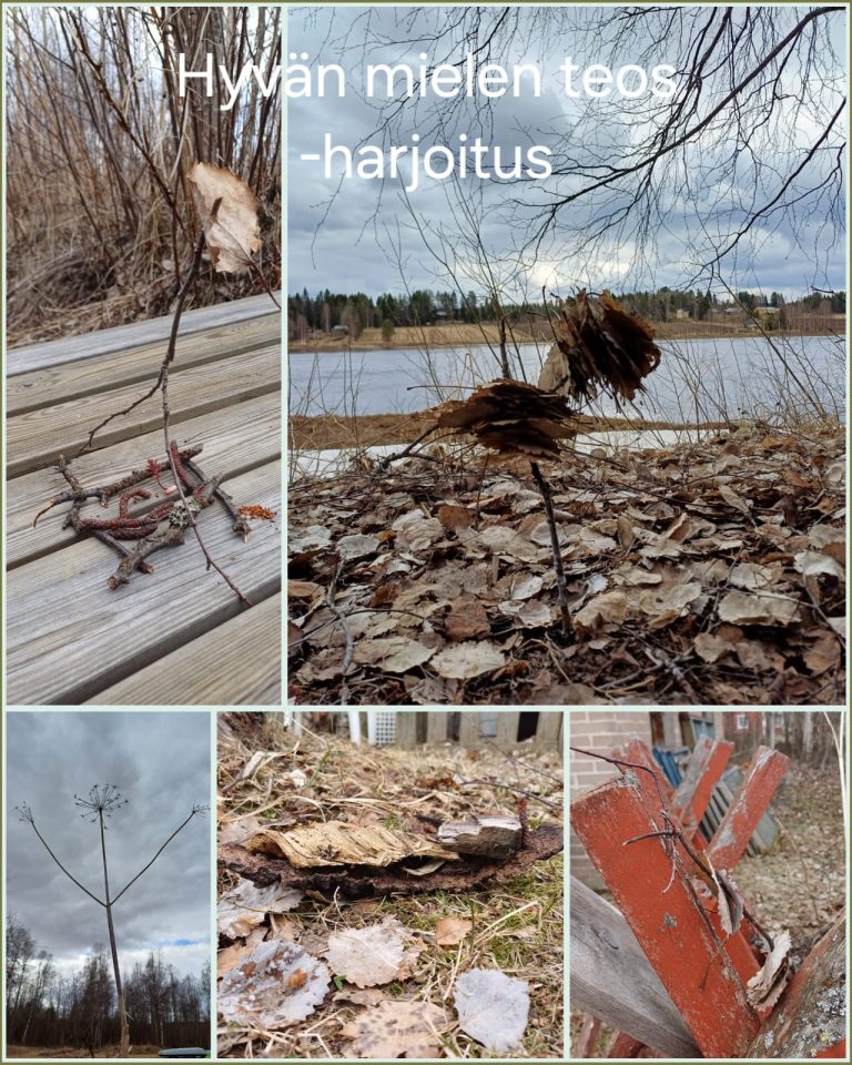 Hyvän mielen teos -harjoituksen aikana valmistettiin useita taideteoksia luonnosta löytyvistä materiaaleista, kuten pudonneista lehdistä ja oksista.