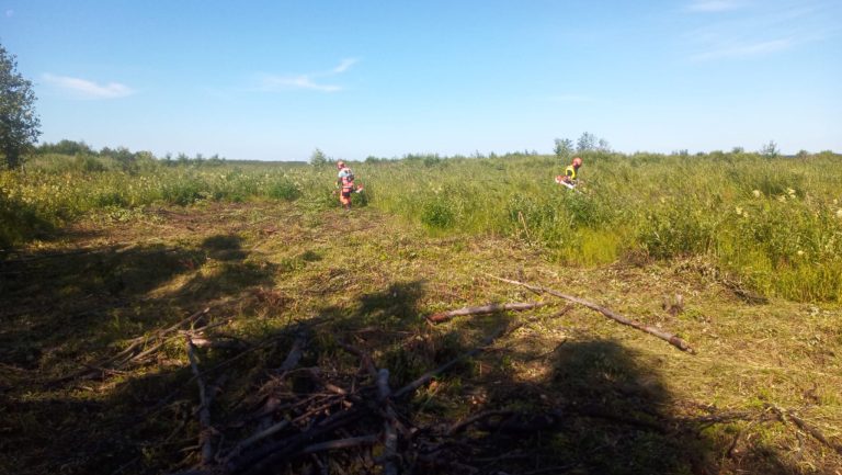 Kaksi keken työntekijää niittämässä suurta laidunta.