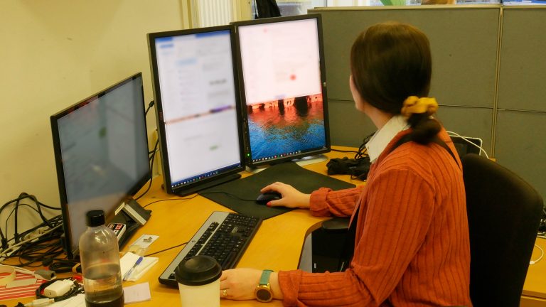 Työllisyyspalvelupäällikkö Rosalie Leskelä istumassa tietokoneen ääressä. Rosalie katsoo kohti kahta tietokonenäyttöä hänen oikealla puolellaan.