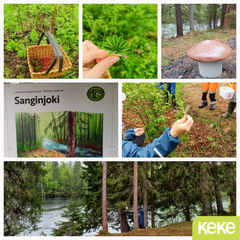 Sanginjoen luonnonsuojelualueella tehtiin porukalla sienestystä ja marjastusta. Joen varrella näkyy huppupäinen henkilö nojaamassa havupuuhun ja katselemassa joelle.