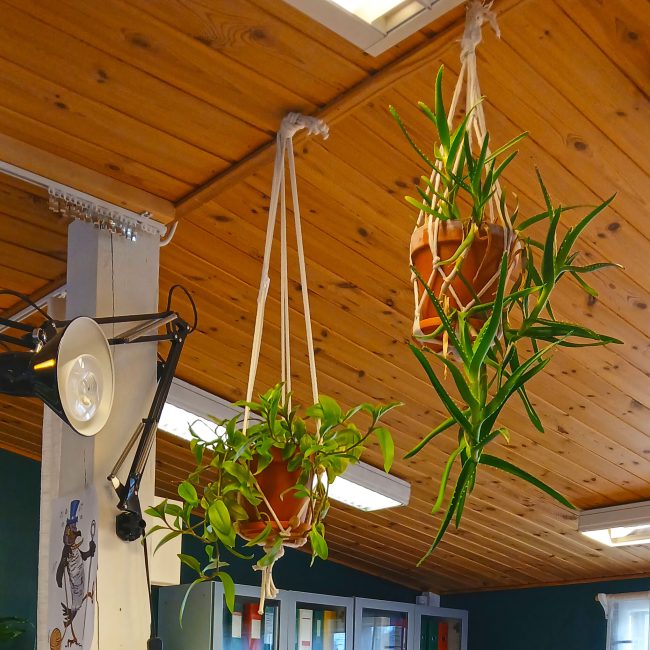 Toimiston katosta roikkuu ruukkukasveja. Pöytälamppu on kiinnitetty läheiseen pylvääseen osoittamaan kohti kasveja.