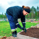 Työllisyyspalvelupäällikkö Rosalie Leskelä seisoo kyyryssä kasvatuslaatikon äärellä. Rosaliella on päällään työvaatteet ja jalassa kumisaappaat, ja hän on kitkemässä rikkaruohoja laatikon mullasta.